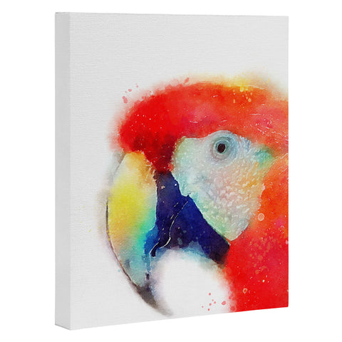 Jacqueline Maldonado The Articulate Art Canvas