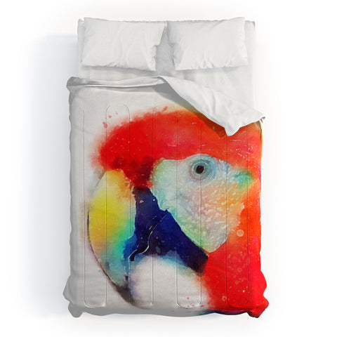 Jacqueline Maldonado The Articulate Comforter