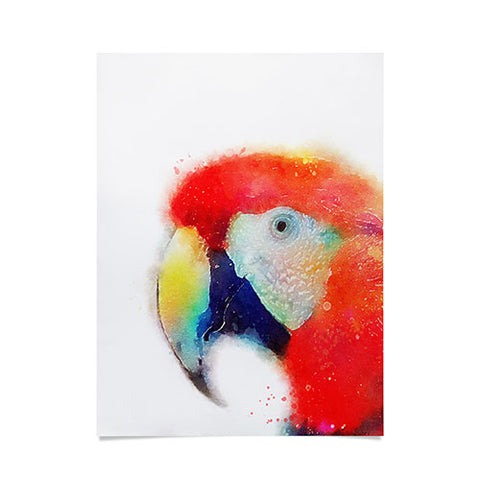 Jacqueline Maldonado The Articulate Poster