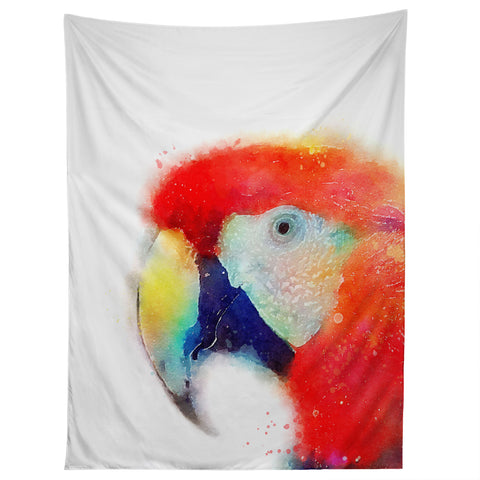 Jacqueline Maldonado The Articulate Tapestry