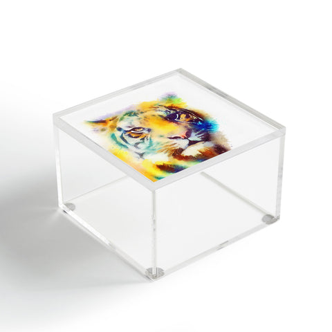 Jacqueline Maldonado The Elusive Acrylic Box