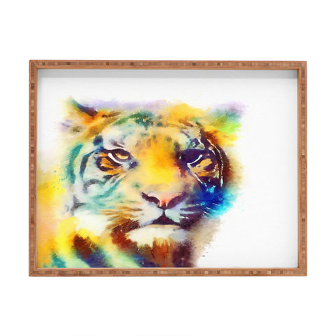 Jacqueline Maldonado The Elusive Rectangular Tray