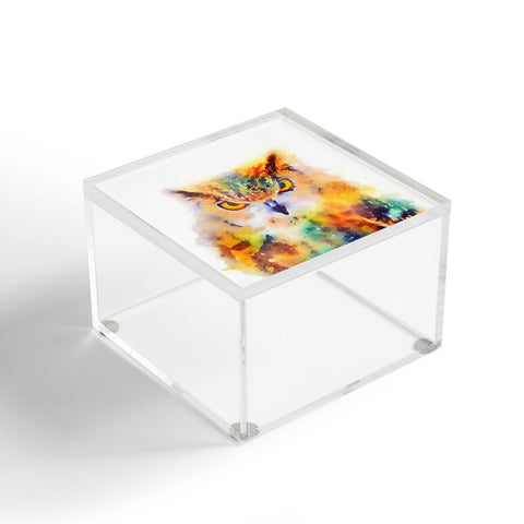 Jacqueline Maldonado The Wise Acrylic Box