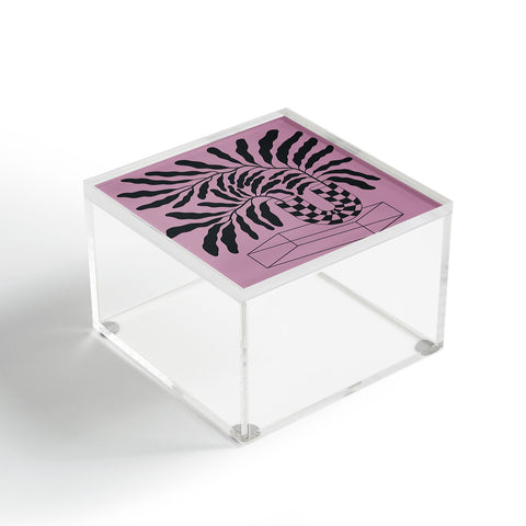 Jae Polgar Fiona 3 Acrylic Box