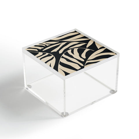 Jae Polgar Palm 3 Acrylic Box