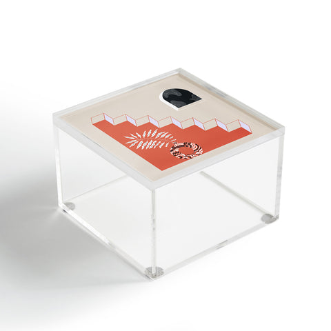 Jae Polgar Stairway To Acrylic Box