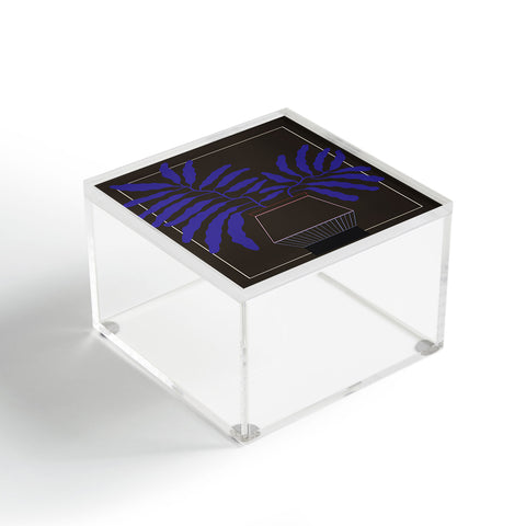Jae Polgar Still 2 Acrylic Box