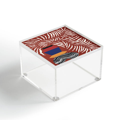 Jae Polgar Wiggle Room Acrylic Box