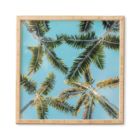 Jeff Mindell Photography After the Storm I Framed Wall Art