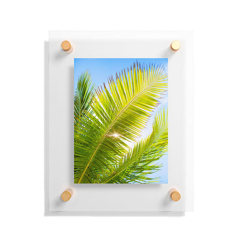 Jeff Mindell Photography Golden Hour Floating Acrylic Print