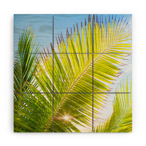 Jeff Mindell Photography Golden Hour Wood Wall Mural