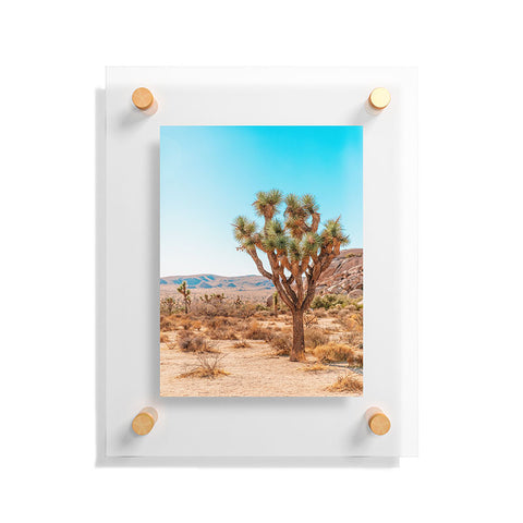 Jeff Mindell Photography Joshua Tree IV Floating Acrylic Print