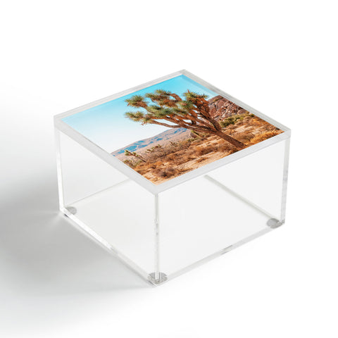 Jeff Mindell Photography Joshua Tree IV Acrylic Box