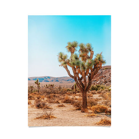 Jeff Mindell Photography Joshua Tree IV Poster