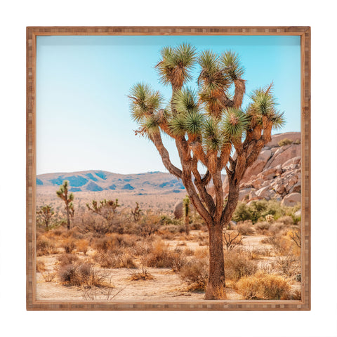 Jeff Mindell Photography Joshua Tree IV Square Tray