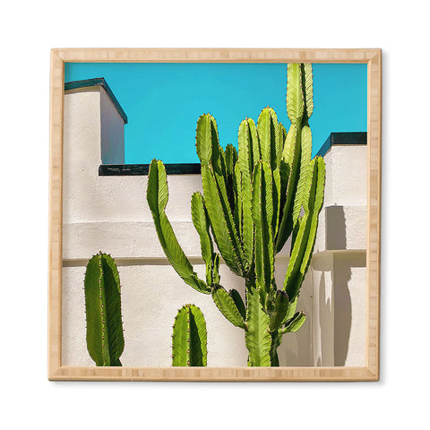 Jeff Mindell Photography South Pasadena Cactus Framed Wall Art