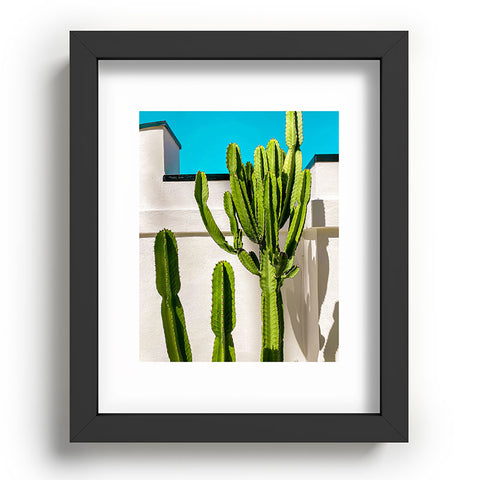 Jeff Mindell Photography South Pasadena Cactus Recessed Framing Rectangle