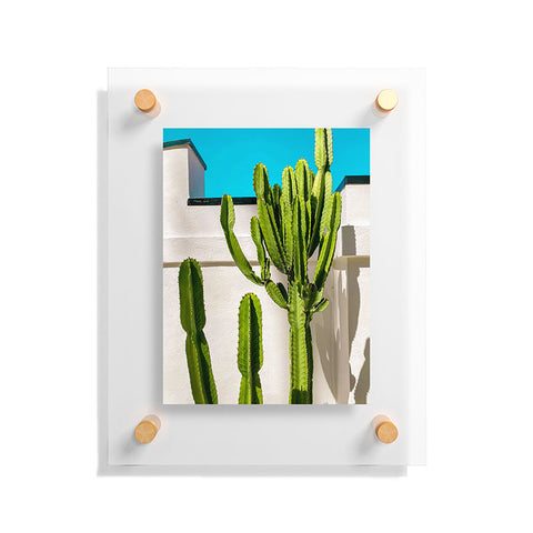Jeff Mindell Photography South Pasadena Cactus Floating Acrylic Print