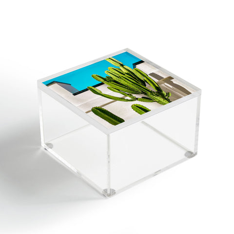 Jeff Mindell Photography South Pasadena Cactus Acrylic Box
