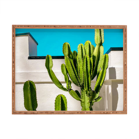 Jeff Mindell Photography South Pasadena Cactus Rectangular Tray