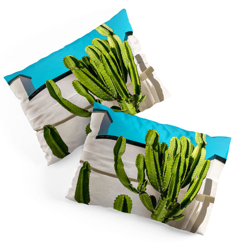 Jeff Mindell Photography South Pasadena Cactus Pillow Shams