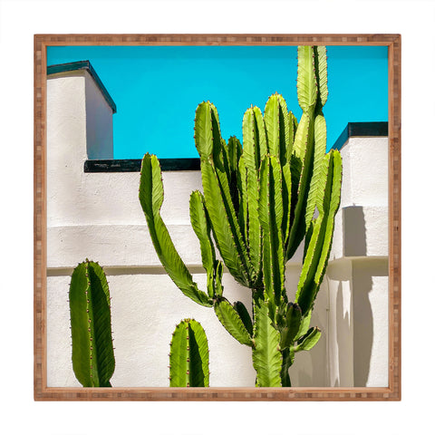 Jeff Mindell Photography South Pasadena Cactus Square Tray