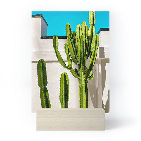 Jeff Mindell Photography South Pasadena Cactus Mini Art Print