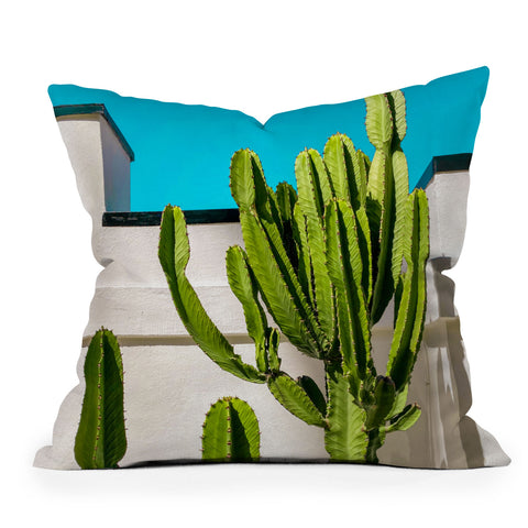 Jeff Mindell Photography South Pasadena Cactus Throw Pillow