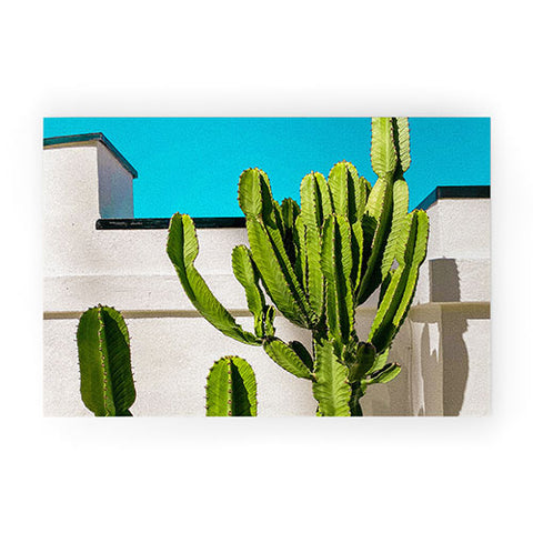 Jeff Mindell Photography South Pasadena Cactus Welcome Mat