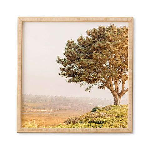 Jeff Mindell Photography Tree of Life Framed Wall Art