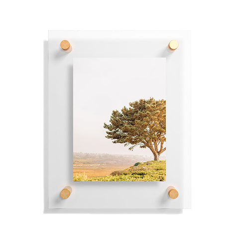 Jeff Mindell Photography Tree of Life Floating Acrylic Print