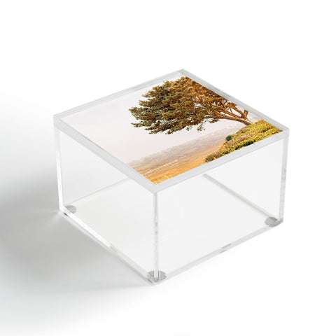Jeff Mindell Photography Tree of Life Acrylic Box
