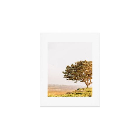 Jeff Mindell Photography Tree of Life Art Print