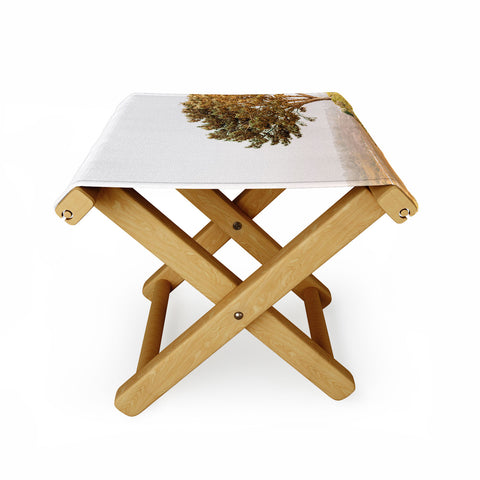 Jeff Mindell Photography Tree of Life Folding Stool