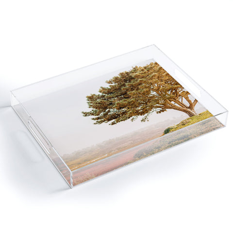 Jeff Mindell Photography Tree of Life Acrylic Tray