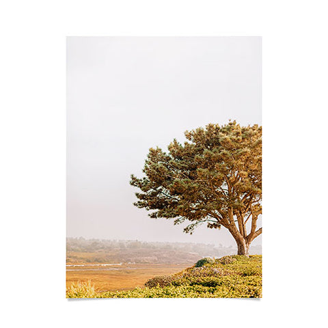 Jeff Mindell Photography Tree of Life Poster
