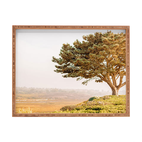 Jeff Mindell Photography Tree of Life Rectangular Tray