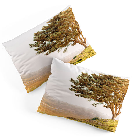 Jeff Mindell Photography Tree of Life Pillow Shams