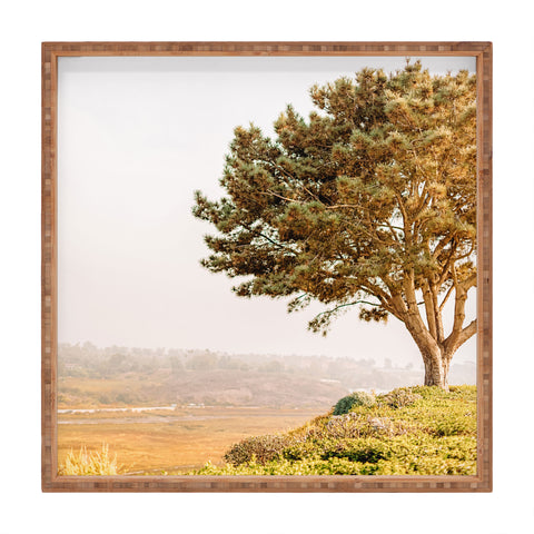 Jeff Mindell Photography Tree of Life Square Tray