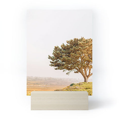 Jeff Mindell Photography Tree of Life Mini Art Print