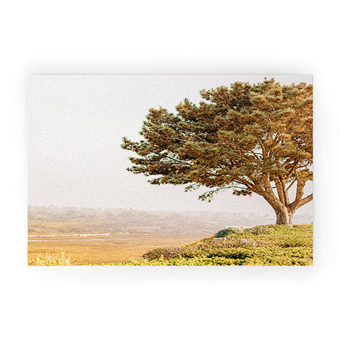 Jeff Mindell Photography Tree of Life Welcome Mat