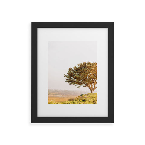 Jeff Mindell Photography Tree of Life Framed Art Print