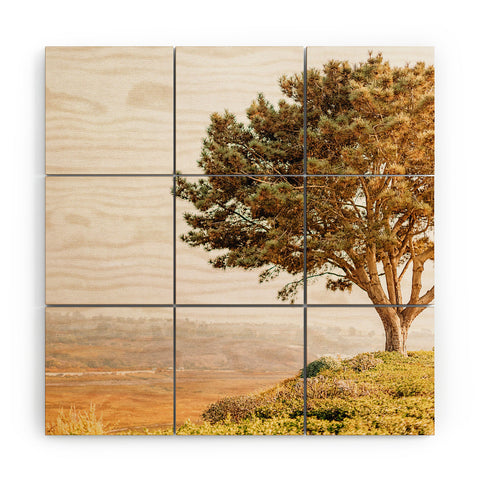 Jeff Mindell Photography Tree of Life Wood Wall Mural