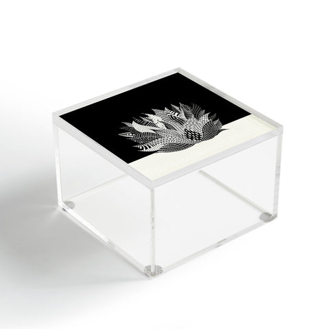 Jenean Morrison Haworthia Midnight Acrylic Box