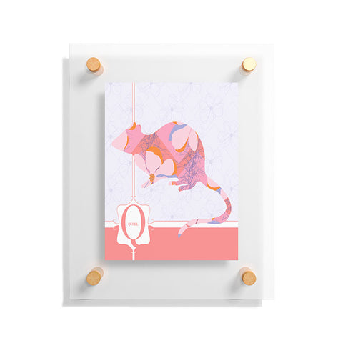 Jennifer Hill Miss Quoll Floating Acrylic Print
