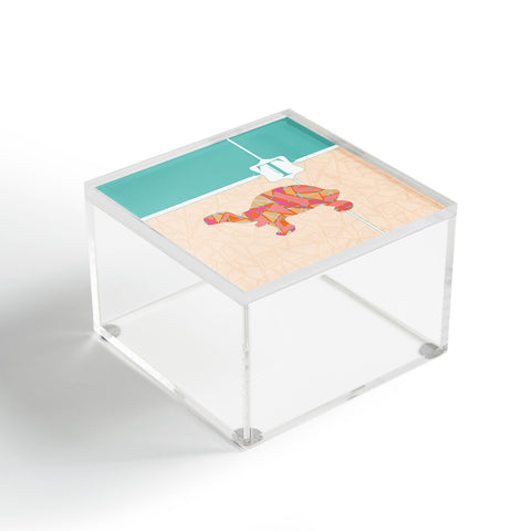 Jennifer Hill Miss Tortoise Acrylic Box