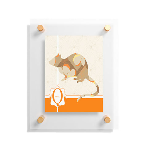 Jennifer Hill Mister Quoll Floating Acrylic Print