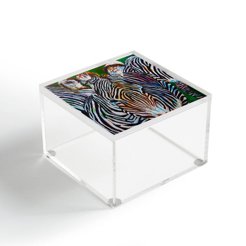 Jenny Grumbles Study In Stripes Acrylic Box