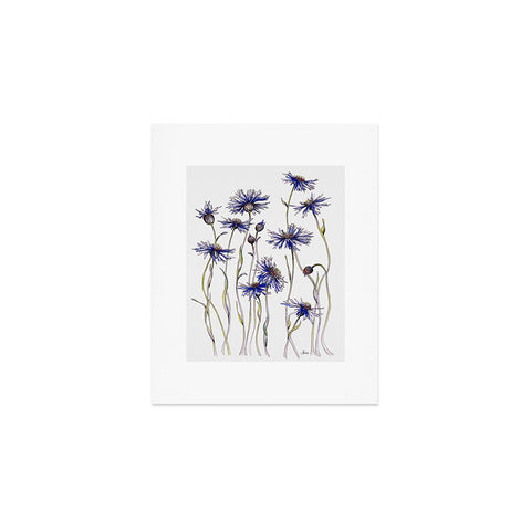 Jessica Hanselmann Blue Cornflowers Art Print