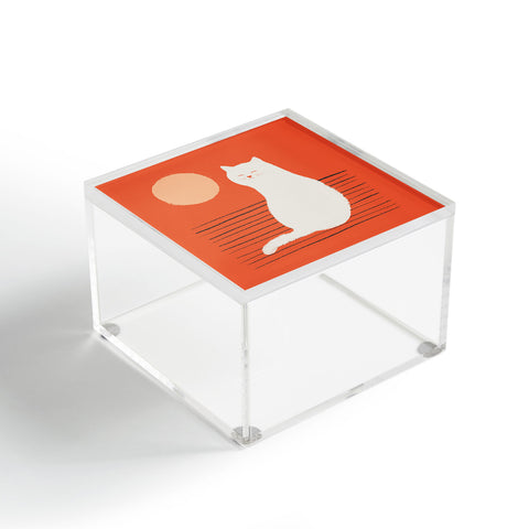 Jimmy Tan Abstraction minimal cat 31 Acrylic Box
